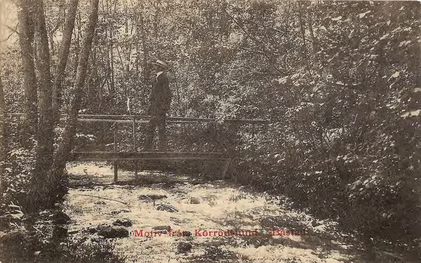 Framsida av Motiv från Korrödslund Båstad