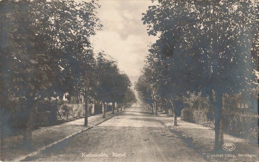 Framsida av Kastanjeallén, Båstad