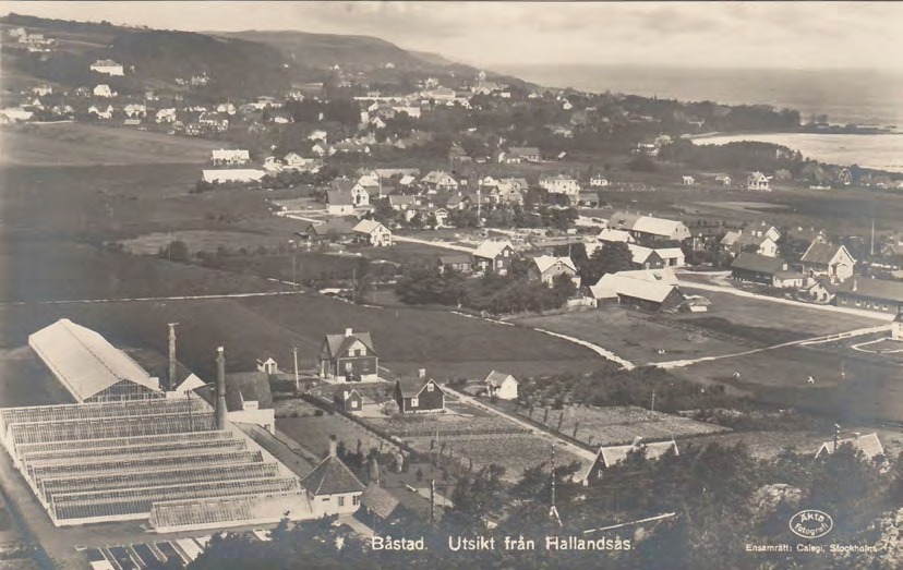 Framsida av Båstad. Utsikt från Hallandsås.