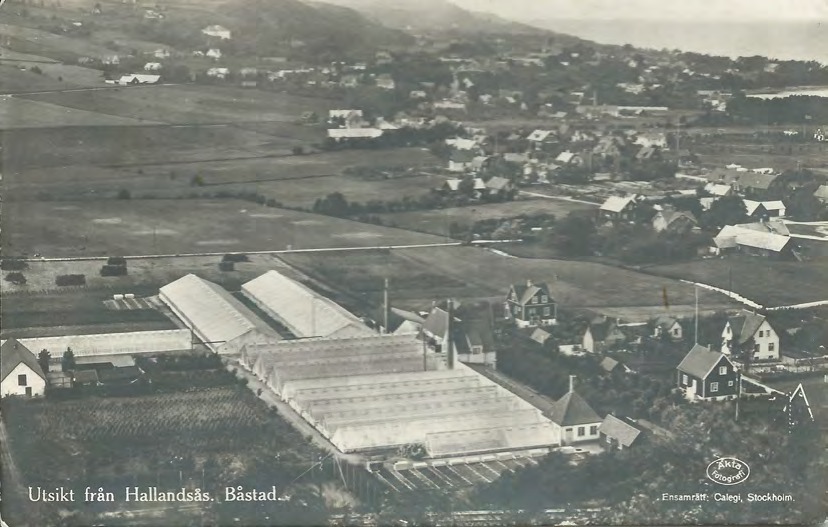 Framsida av Utsikt från Hallandsås. Båstad.