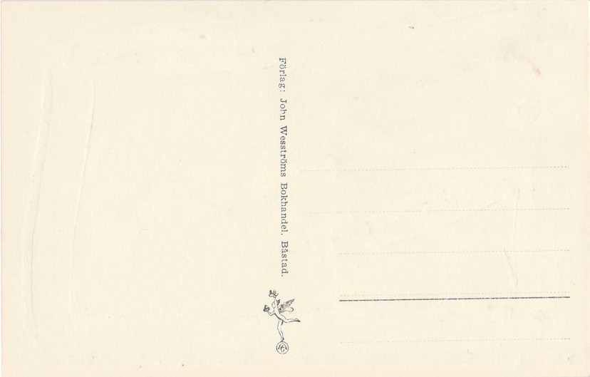 Baksida av Båstad från flygplan.