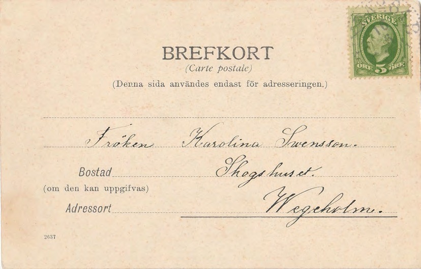 Baksida av Båstads G.T. Studiecirkel år 1902.