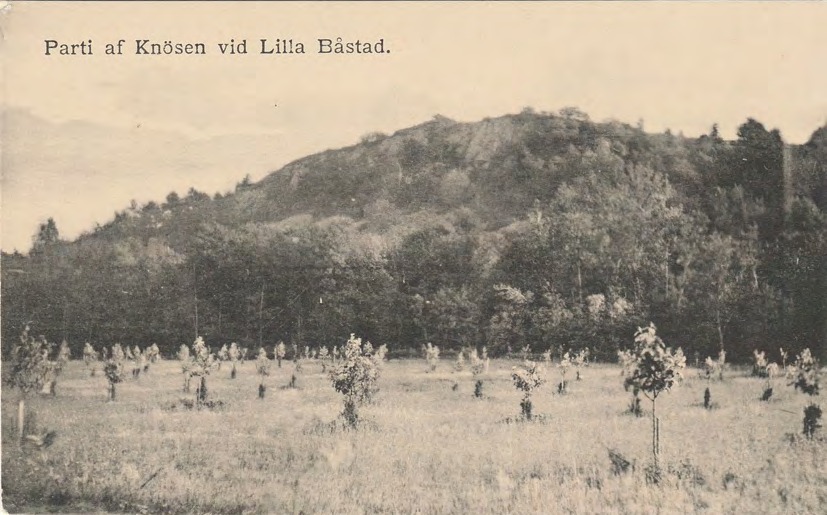 Framsida av Parti af Knösen vid Lilla Båstad.