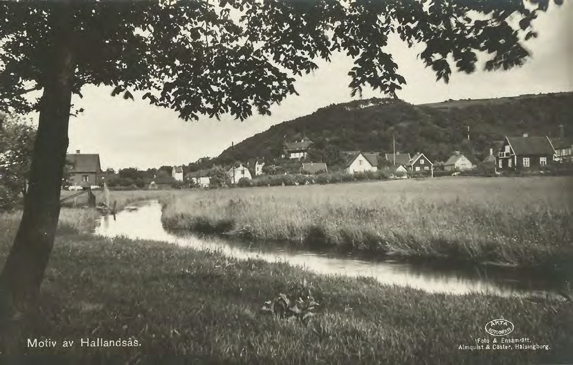 Framsida av Motiv av Hallandsås.