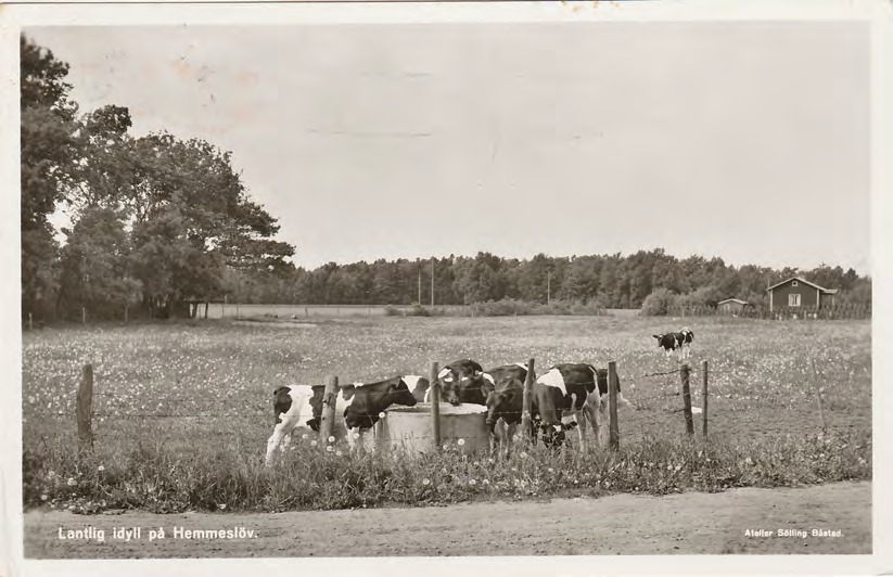 Framsida av Lantlig idyll på Hemmeslöv.
