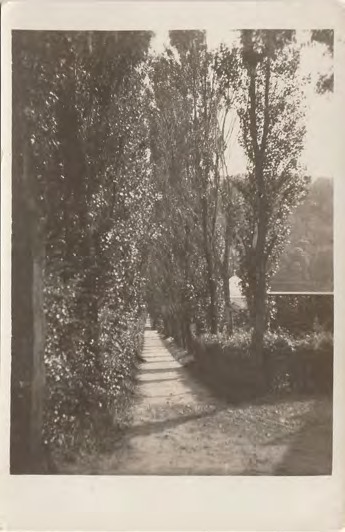 Framsida av - (Poppelallén, Båstad.)