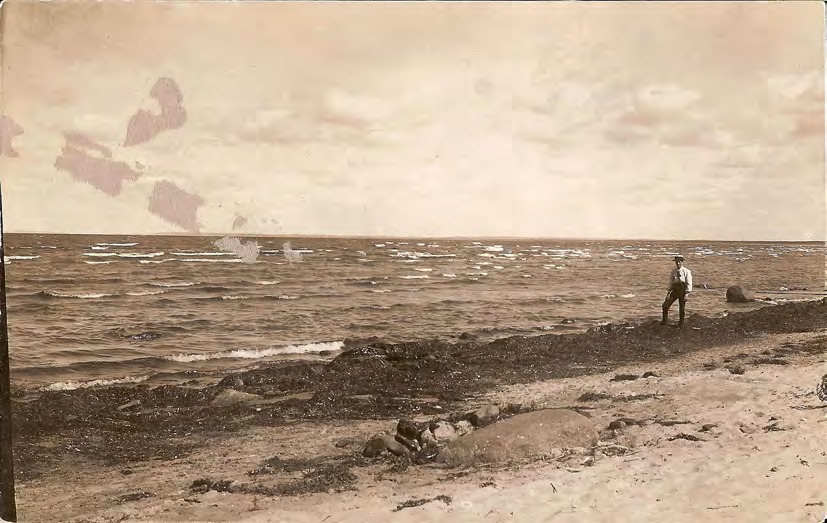 Framsida av - (Strandparti från Båstad)