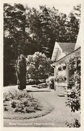 Framsida av Båstad. Hasselbackens Trädgårdsservering.