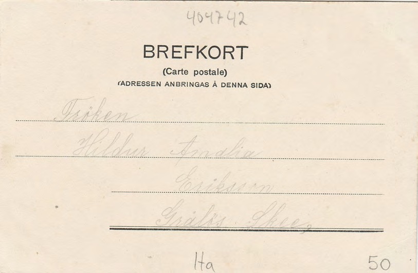Baksida av EN TUSENÅRIG EK FRÅN HALLANDS VÄDERÖ.
