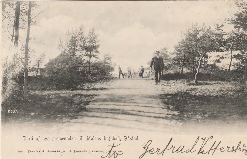 Framsida av Parti af nya promenaden till Malens hafsbad, Båstad.