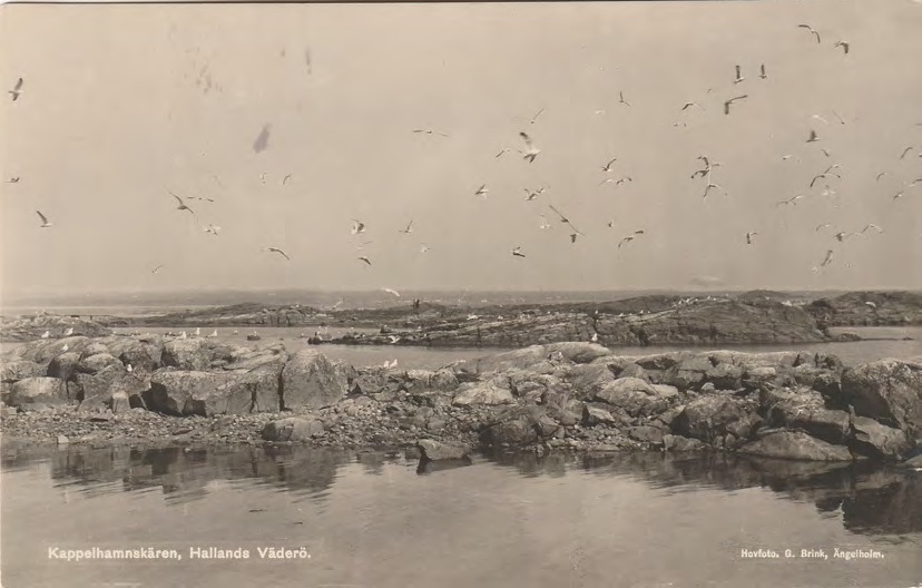 Framsida av Kapellhamnskären, Hallands Väderö.