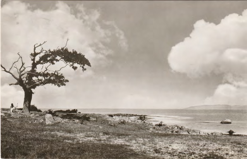Framsida av Hallands Väderö Ek vid Lilla Sandhamn