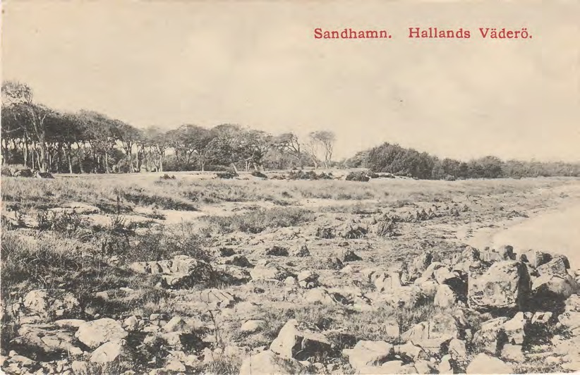 Framsida av Sandhamn. Hallands Väderö.