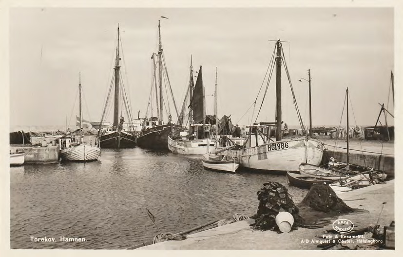 Framsida av Torekov. Hamnen.