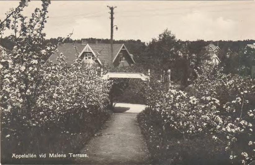Framsida av Äppelallén vid Malens Terrass.