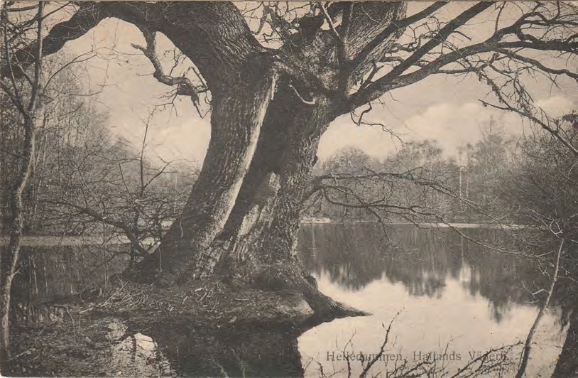 Framsida av Helledammen, Hallands Väderö.