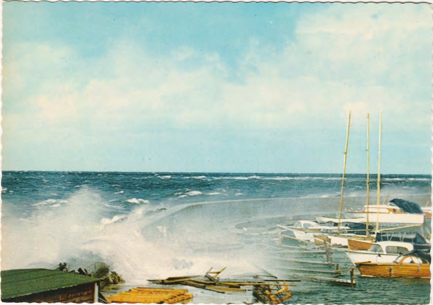 Framsida av Torekov. Stormmotiv