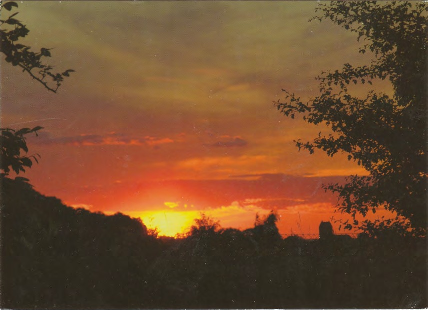 Framsida av God natt Båstad!